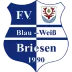 FV Briesen/Mark